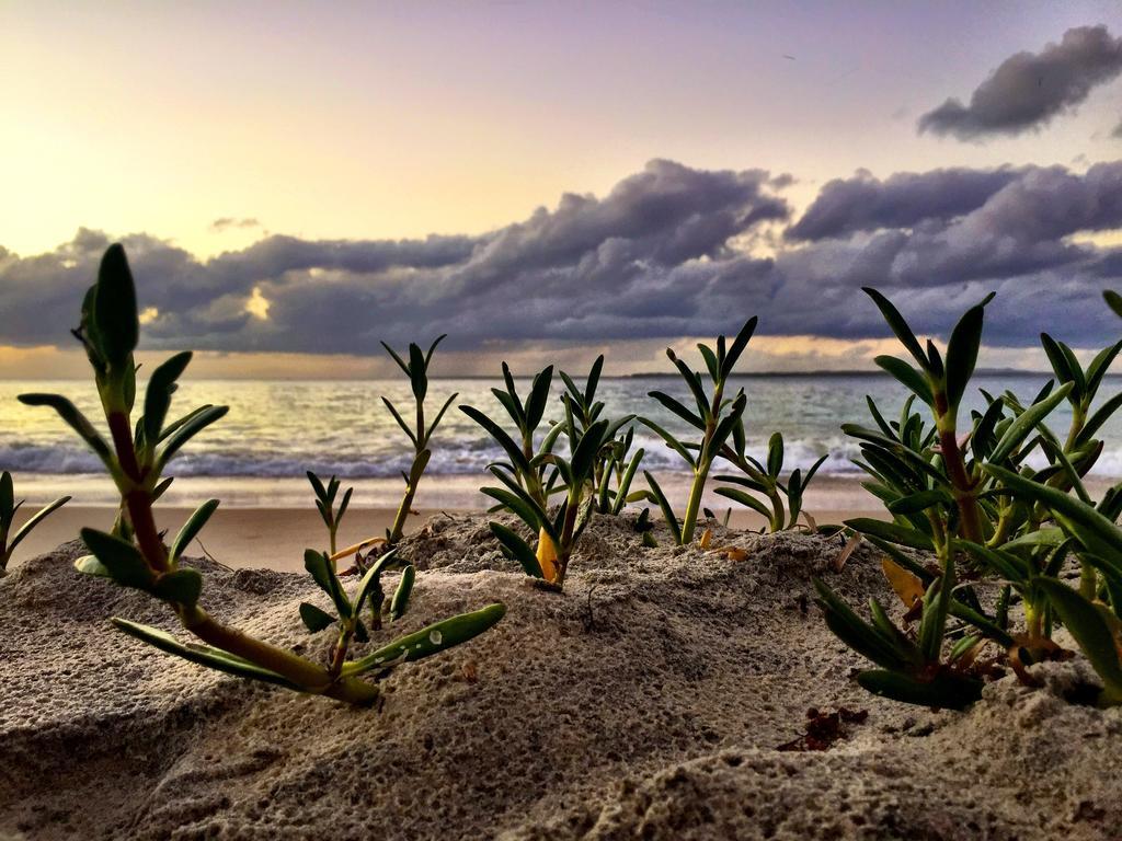 Stradbroke Island Beach Hotel 波因特卢考特 外观 照片