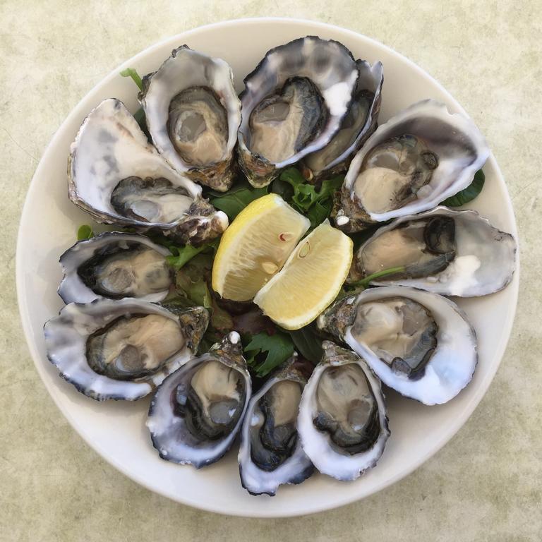 Stradbroke Island Beach Hotel 波因特卢考特 外观 照片